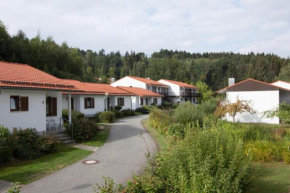 Ferienpark im schönen Falkenstein 5